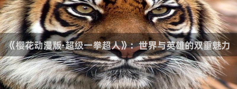 omofun动漫共和国下载：《樱花动漫版·超级一拳超人》：世界与英雄的双重魅力