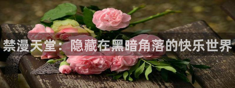 omofun纯净版下载：禁漫天堂：隐藏在黑暗角落的快乐世界