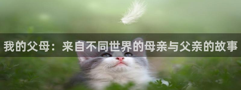 omofun动漫下载苹果：我的父母：来自不同世界的母亲与父亲的故事