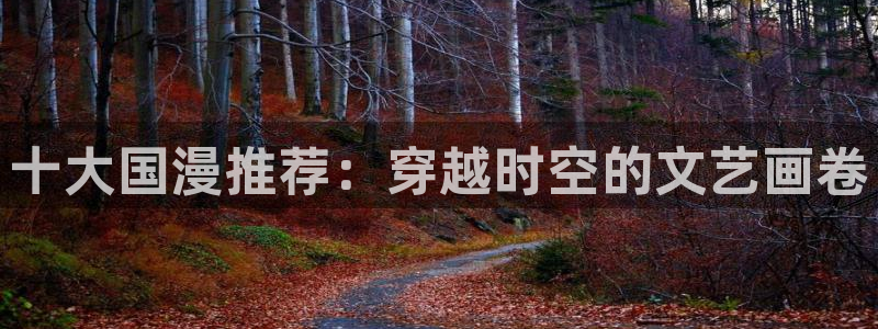 age动漫入口ios版：十大国漫推荐：穿越时空的文艺画卷