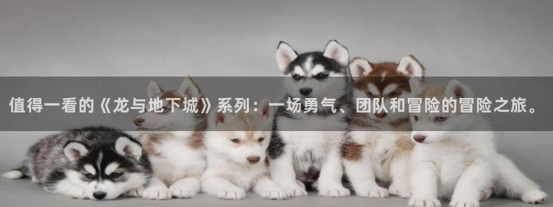 - omofun：值得一看的《龙与地下城》系列：一场勇气、团队和冒险的冒险之旅。