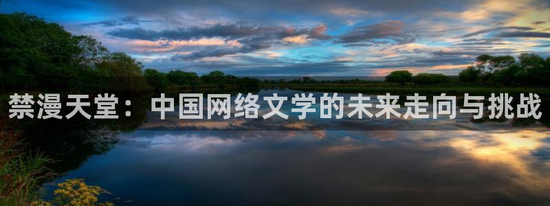 omofun是正经软件吗：禁漫天堂：中国网络文学的未来走向与挑战