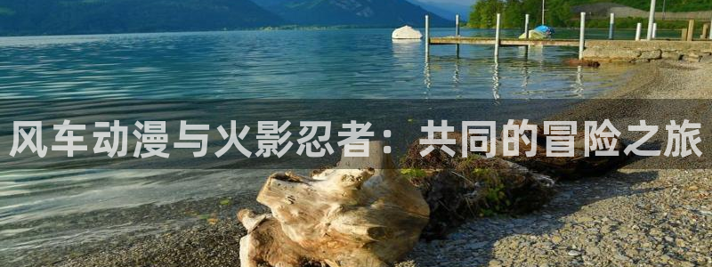 omofun下载：风车动漫与火影忍者：共同的冒险之旅
