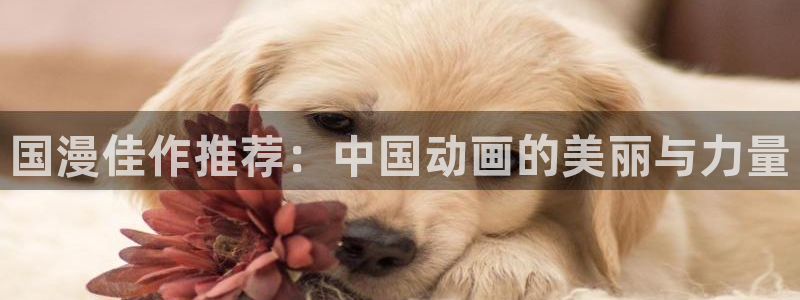 omofun下载app：国漫佳作推荐：中国动画的美丽与力量
