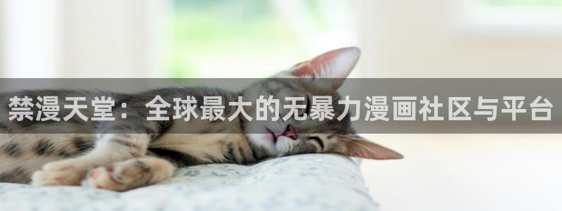 omofun在线：禁漫天堂：全球最大的无暴力漫画社区与平台