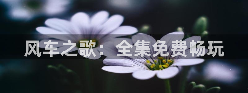 omofun在线下载：风车之歌：全集免费畅玩