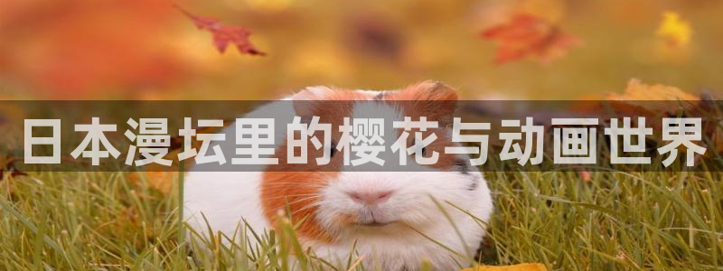 age动漫正版下载入口：日本漫坛里的樱花与动画世界