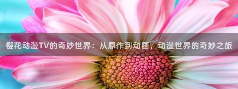 omofun?：樱花动漫TV的奇妙世界：从原作到动画，动漫世界的奇妙之旅