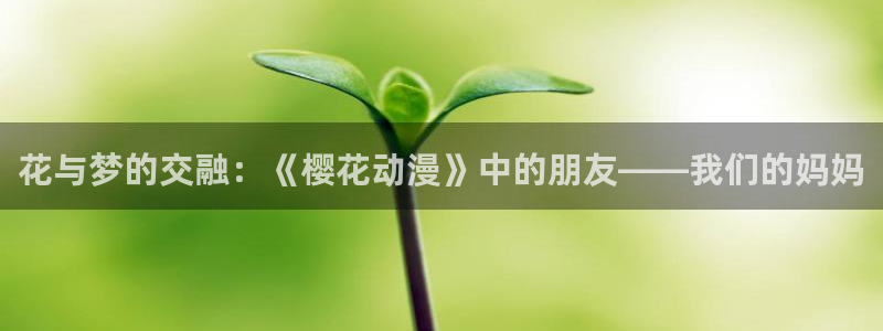 动漫共和国(omofun)官网：花与梦的交融：《樱花动漫》中的朋友——我们的妈妈